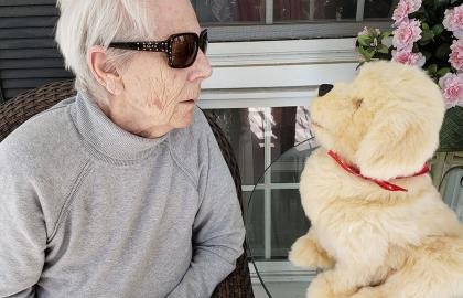 Can Robot Pets Reduce Loneliness?