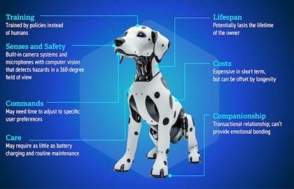 How Interactive Robot Pets Are Designed