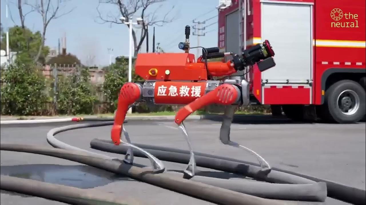 Robot Dogs for Emergency Response and Rescue - Robots Shop