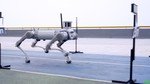 Unitree Robotics B2 Quadruped Robot Dog