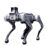 MagicLab MagicDog Y1