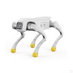 AGIBOT D1 Edu Quadruped Robot