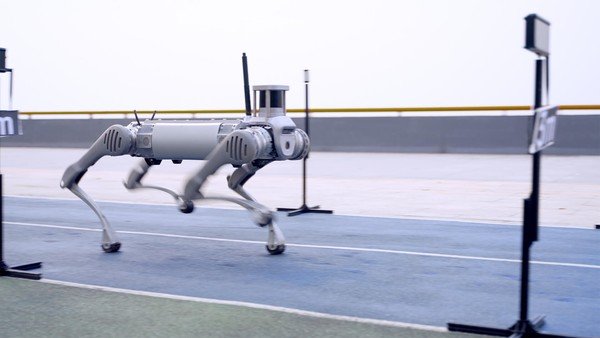 Unitree Robotics B2-W Quadruped Robot