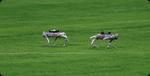 Unitree Robotics Go2