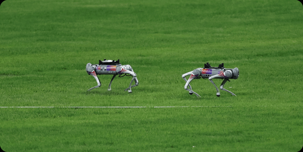 Unitree Robotics Go2