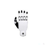 Unitree Robotics H1-2 Dexterous Hand
