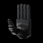 Unitree Robotics H2