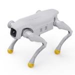 AgiBot D1