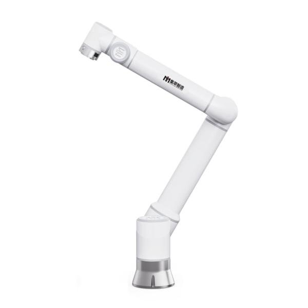 IIMT CI-10 Arm